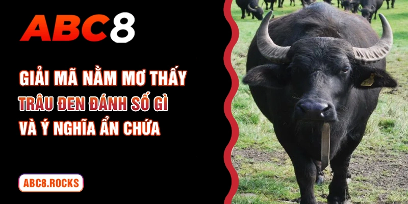 nằm mơ thấy trâu đen đánh số gì